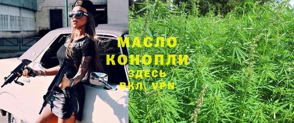 индика Нефтекумск